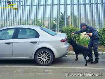 Fermo. Traffici illeciti, intensificati i controlli della guardia di finanza su spaccio di droga e beni viaggianti - Farodiroma