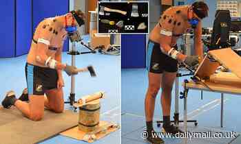 Study claims early man's greatest invention was the handle