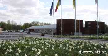 Boksclub houdt rommelmarkt in Depot Deluxe | Hemiksem | hln.be - Het Laatste Nieuws