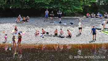 Brace Yourself For the Comeback of Citizen Scientists