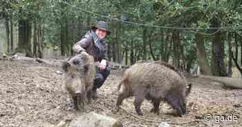 Remagen: Der Wildpark Rolandseck ist wieder geöffnet - General-Anzeiger Bonn