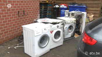 Dierenasiel Wommelgem dankbaar voor solidariteit na brand: "Het is niet meer bij te houden" - ATV