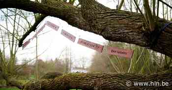 Deerlijk heeft nu ook een 'troostplek', als eerbetoon aan coronaslachtoffers - Het Laatste Nieuws