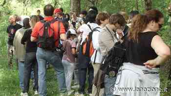 Legambiente torna a scoprire lo spettacolo nella natura nel Padule di Fucecchio - LA NAZIONE
