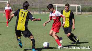 Giovani Fucecchio, blitz a Pagnana E adesso sono soli al comando - LA NAZIONE