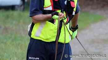 Fucecchio: arriva il workshop con i cani molecolari per la ricerca delle persone scomparse / FOTO - FirenzeToday