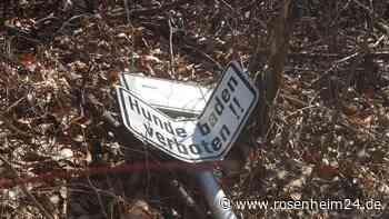 Unbekannte randalieren am Pioniersee in der Nußdorfer Au