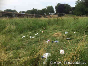 Freiwillige machen Dresdner Elbwiesen sauber - Radio Dresden