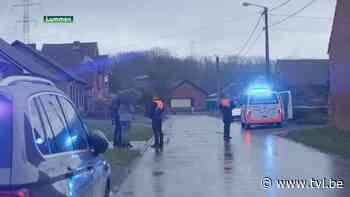 Steekpartij Lummen: dader opgepakt, slachtoffer buiten levensgevaar - TV Limburg