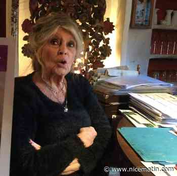 Brigitte Bardot appelle les dirigeants européens à s’envoler pour "rencontrer Poutine en face-à-face"