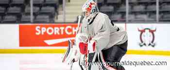 Trophée Hobey-Baker : après Cole Caufield, un gardien québécois?