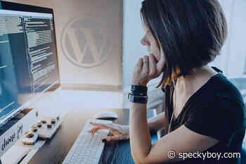 Why Most WordPress Websites Should Be Maintained by a Professional