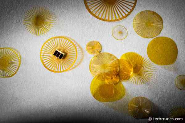 Fly away, little sensors! These tiny wireless devices can be scattered by the wind