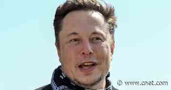 Why Elon Musk Changed His Twitter Name to 'Elona' Musk     - CNET