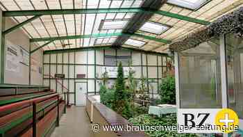 Die Zukunft der Schlangenfarm in Schladen ist ungewiss