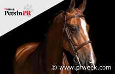 How being a ‘horse girl’ has helped one PR pro to be a better communicator