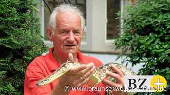 Schlager statt Schlangen: Jürgen Hergert holt Stars nach Schladen