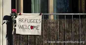 "La Diocesi di Velletri-Segni pronta ad accogliere gli ucraini". Colleferro grida "Mai più" - La Nuova Tribuna