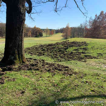 Missouri cattle producer joins state feral hog trapping, outreach