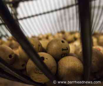 Include me 2 Club is offering various events and social clubs - Barrhead News