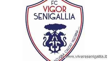 Calcio: Vigor Senigallia-Fossombrone, info per la prevendita dei biglietti - Vivere Senigallia