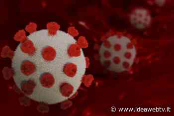 Covid, ad Alba ancora in calo i positivi: aggiornamento su casi, ricoveri e vaccinati - IdeaWebTv
