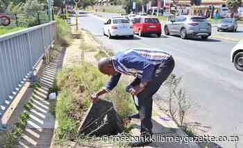 JRA commits to fixing bridge pavements - Rosebank Killarney Gazette