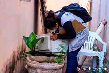 Mutirão de combate ao mosquito da dengue em Birigui já passou por quatro bairros - Portal Thathi