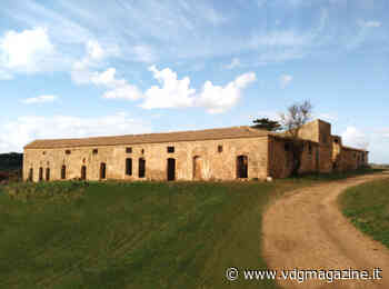 Baglio Aimone, vini autoctoni con l'etichetta ispirata all'Opera dei Pupi - VdgMagazine