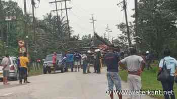 Para uren verstoken van elektriciteit als gevolg van omgevallen boom - Waterkant