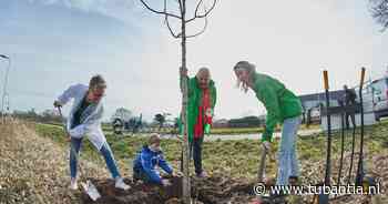 Groen-Links plant boom: 'Via lokale politiek heb je invloed in eigen omgeving' - Tubantia