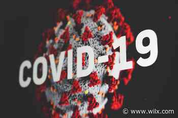 Coronavirus Report: Michigan reports 1,540 new cases, 118 deaths over past 2 days - WILX
