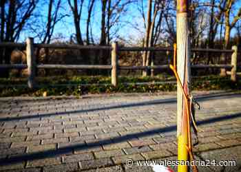 Acqui Terme: 700 piante messe a dimora - Alessandria24.com - Alessandria24.com