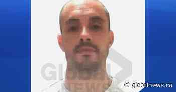 Dangerous offender who shot, blinded student in Calgary granted day parole 