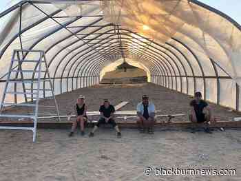 Lambton's Enactus team advances to national championship with regional win - BlackburnNews.com