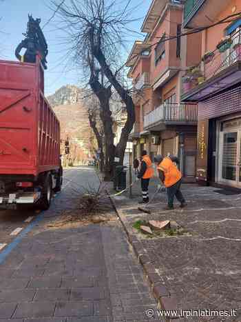 Solofra, prosegue il programma ordinario e straordinario del taglio del verde - https://www.irpiniatimes.it