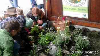 Start der Gartensaison - Bezirk Neunkirchen: Das Paradies ist vielfältig geworden - NÖN.at