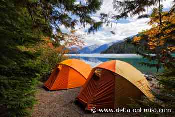 New BC Parks camping website ready for influx of bookings - Delta Optimist