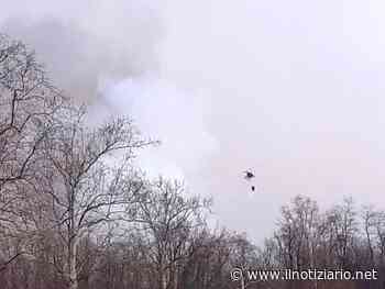 Solaro, incendio nel parco delle Groane: elicottero per spegnere i boschi - Il Notiziario