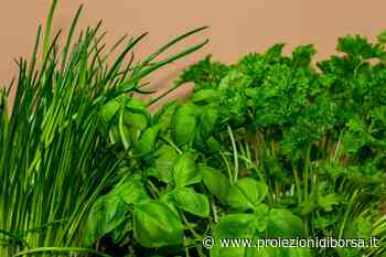 Per combattere la stitichezza, oltre a carciofi e prugne questa erba favorirebbe anche la diuresi e si può ... - Proiezioni di Borsa