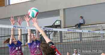Volleyball: Frauen des SV 1860 Minden fehlen zwei Sätze zur Landesliga-Meisterschaft - Spannendes Titelrennen bei den Männern - Mindener Tageblatt