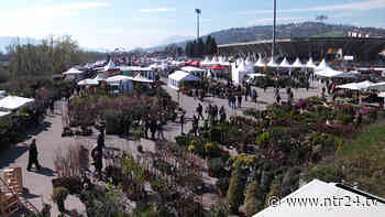Benevento, il 18 marzo alle 9 verrà inaugurata la tradizionale Fiera di San Giuseppe - NTR24
