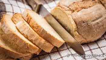 Manca la farina, pane a 10 euro al chilo. Benevento tra province più economiche - Ottopagine