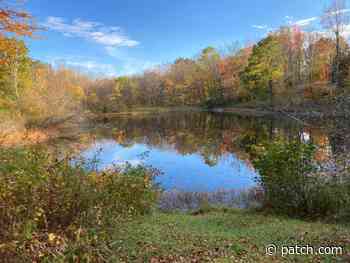 $2.7M Green Space Grants Fund Projects Across Rhode Island - Patch