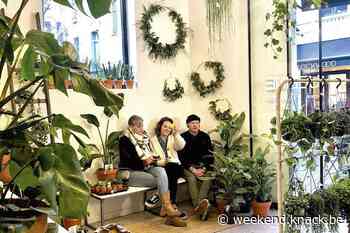 Geld moet rollen: 13 winkels in Antwerpen die je gezien wilt hebben - Weekend Knack