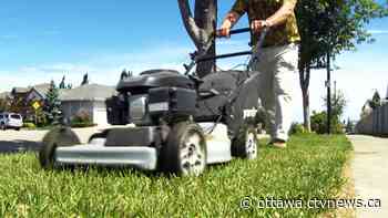 Ottawa to begin phasing out gas-powered garden tools this summer - CTV News Ottawa