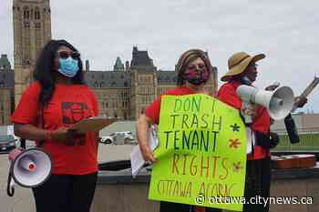 ACORN Ottawa protests at MPP Jeremy Roberts office against loopholes in Ontario rent control laws. - Ottawa.CityNews.ca