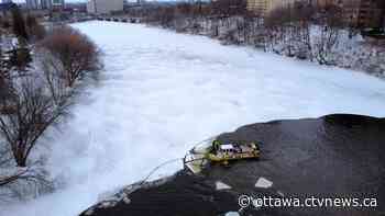 Mild day in store Wednesday- but it is only going to get better! - CTV News Ottawa