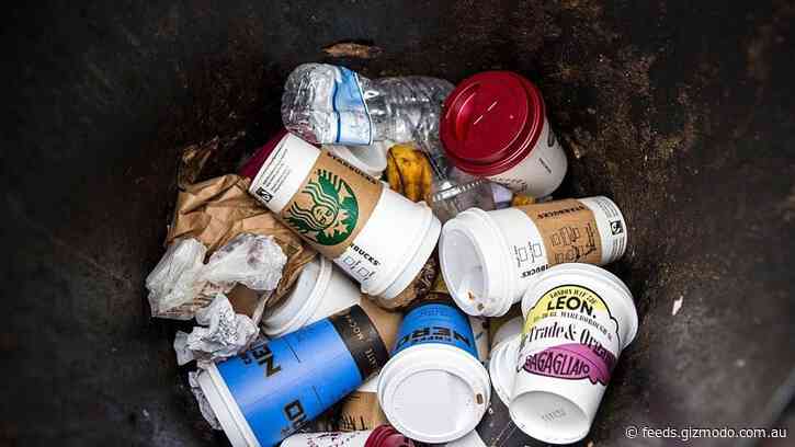 Starbucks’ New Reusable Cup Program Is Actually Years Behind Schedule