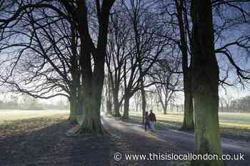 Friends of the Earth to plant 420 trees in Morden Park